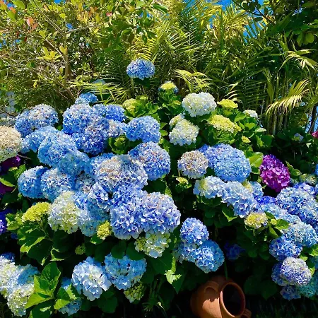 Casa De برازيريس