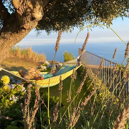 بيت للعطل Casa De