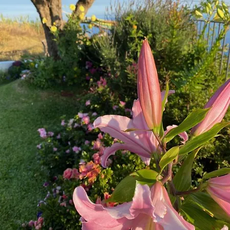 Casa vacanze Casa De Prazeres