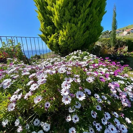 بيت للعطل Casa De