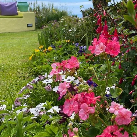 بيت للعطل Casa De برازيريس