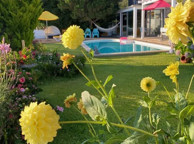 Vakantiehuis Casa De